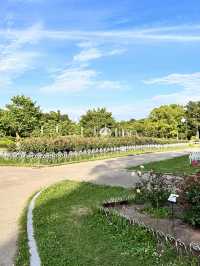鶴舞公園