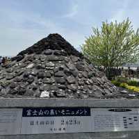 富士山河口湖大石公園🗻🌟