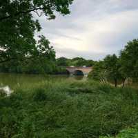 愛知旅行「岩ケ池公園」