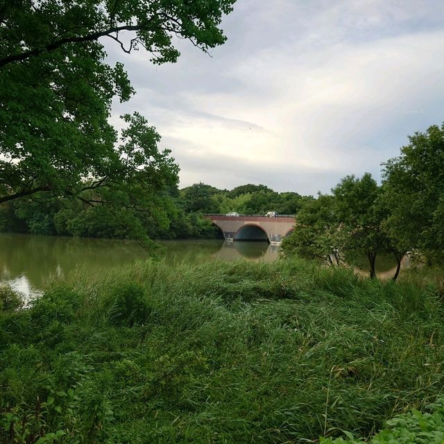 愛知旅行「岩ケ池公園」