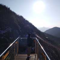 아찔한 높이의 거창 Y자 출렁다리🌉 