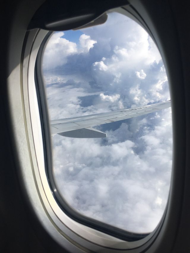오사카 가서 옷사까~?