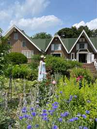 유럽산장같은 초록색지붕 우드하우스와 꽃밭정원 🏡