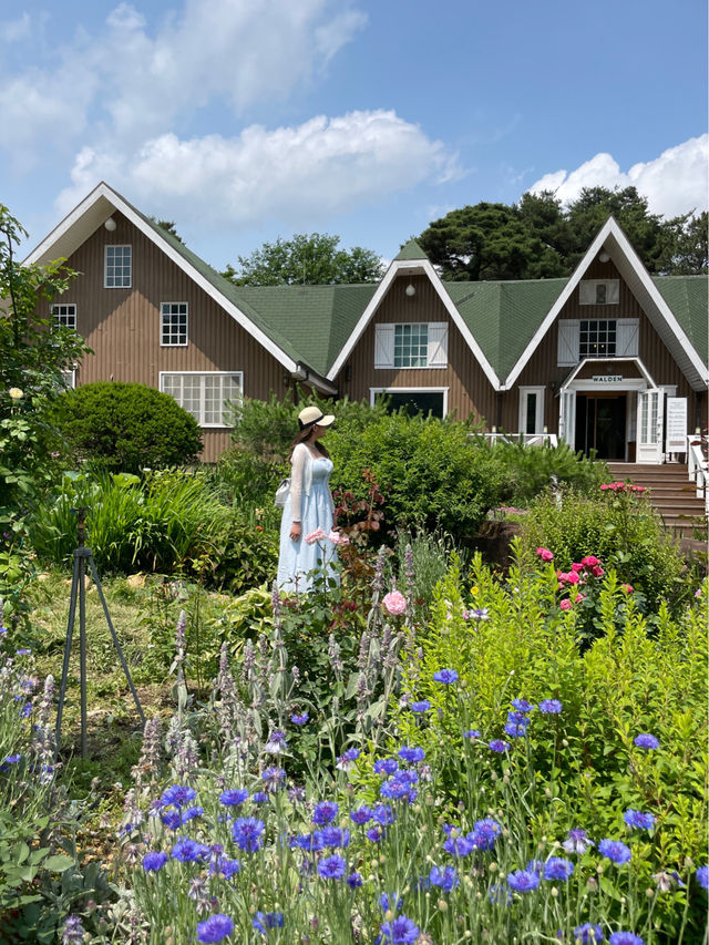 유럽산장같은 초록색지붕 우드하우스와 꽃밭정원 🏡