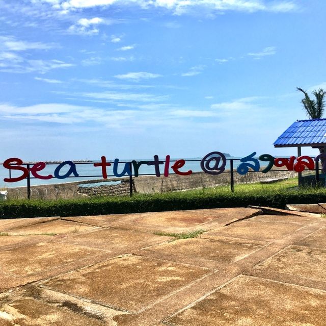 Sea Turtle Conservation Songkhla