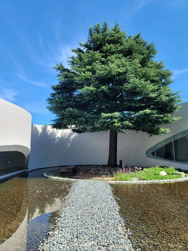 물의정원이란 이름처럼 아름다운 박태준기념관 수정원🏡