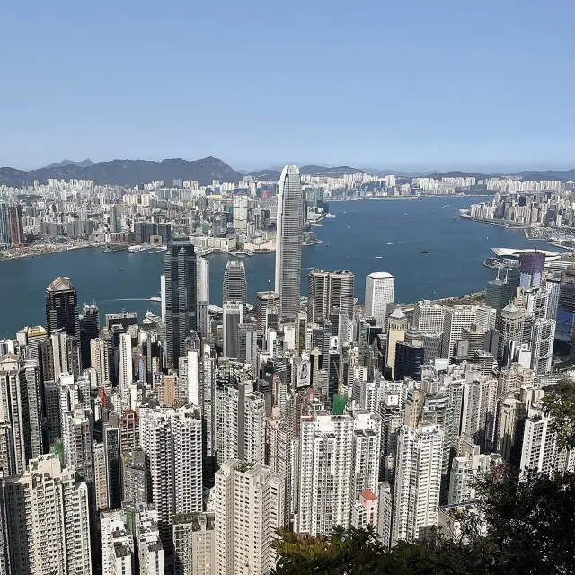 🇭🇰山頂健步，免費觀景台俯瞰維港