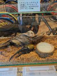 【チャリ散歩】北海道の自然と自転車散歩を堪能しよう！