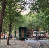 ️🌳🤸羅東運動公園～運動好玩又充滿活力！🏃‍♀️🌳
