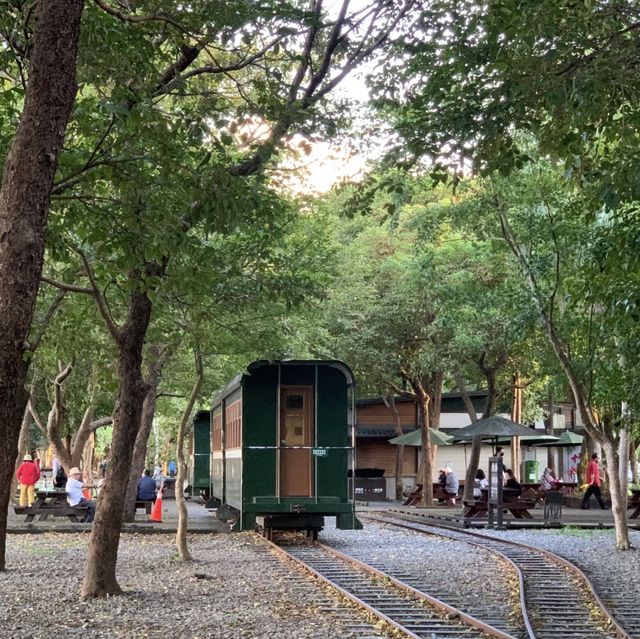 ️🌳🤸羅東運動公園～運動好玩又充滿活力！🏃‍♀️🌳