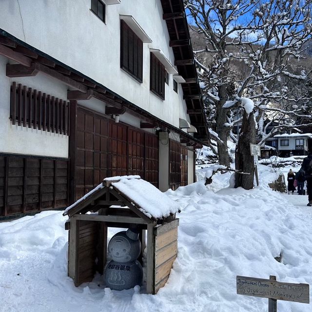 令人難忘且奇特的地獄谷雪猴之旅            