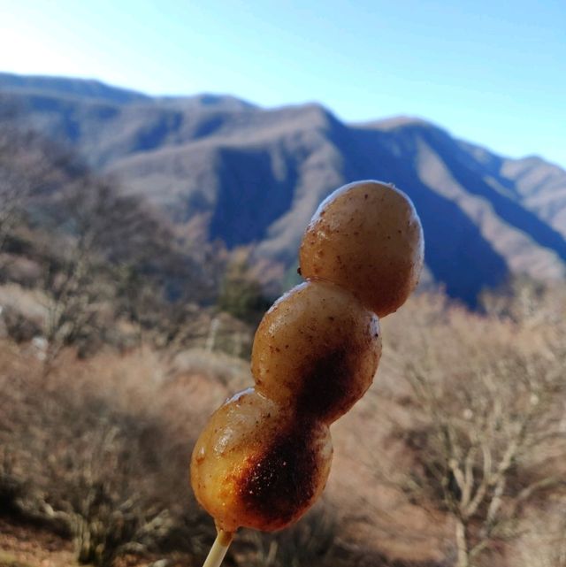 【首都圏屈指のパワースポット】三峯神社