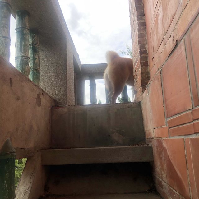 更樓