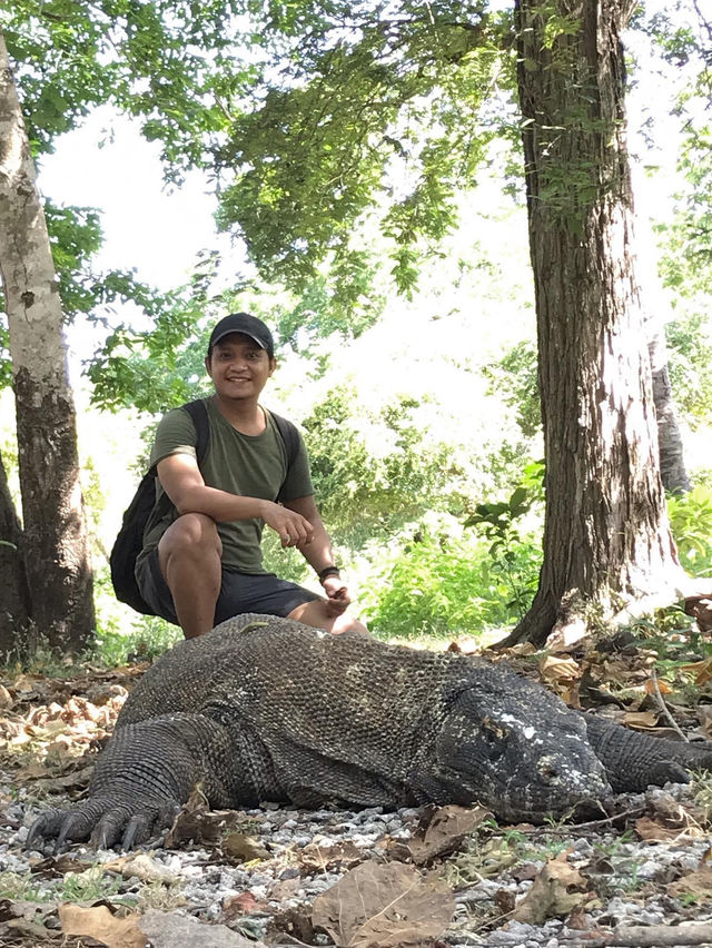 Komodo Island, Beautiful Face of Indonesia