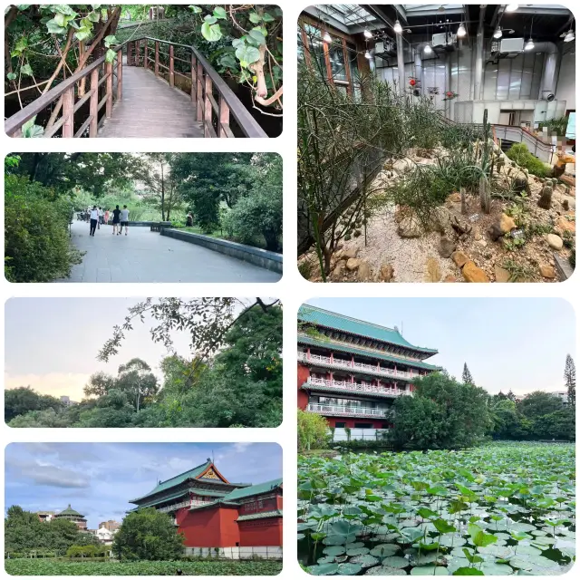 迷失在綠意中🌿🌺 台北植物園