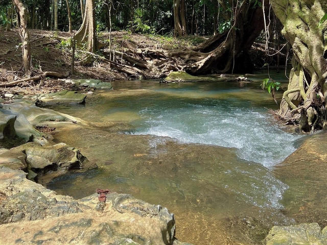 คาเฟ่บ้านวังเข้ ห้วยยอด ตรัง 🤍🍃
