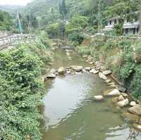 探索神秘的瑪陵坑⛩️基隆的寶藏地！🌳⛰️🌿 