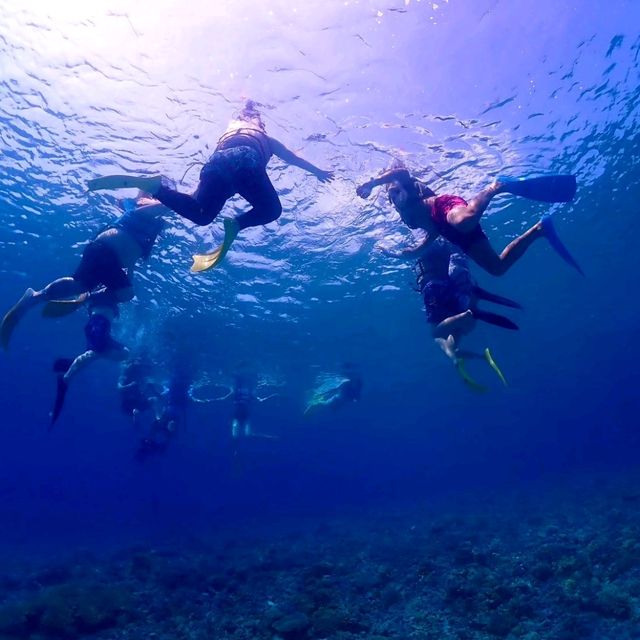 【沖縄 座間味島】ケラマブルーの海でシュノーケリング🌊🌺