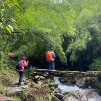 Hike Through Gandaki Forest: Nature’s Wonder 