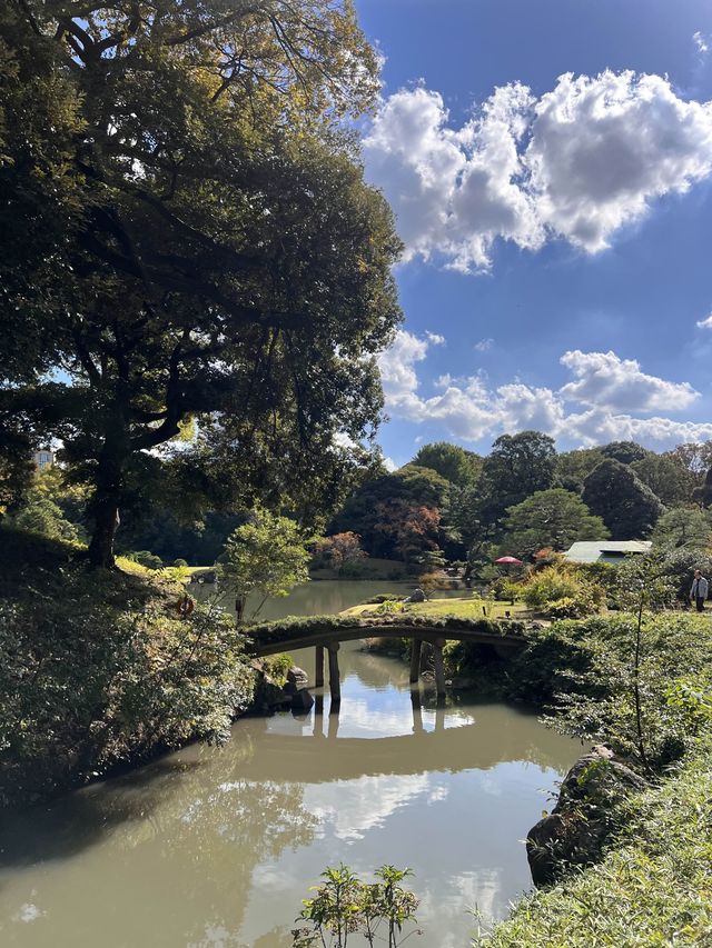 東京【駒込】六義園