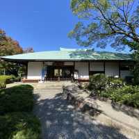 名古屋城行くならぶらり二之丸庭園！名勝指定の庭