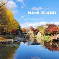 Beautiful Autumn in Nami Island 🍁