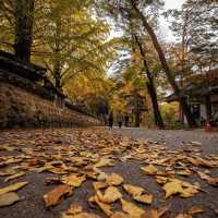 Beautiful Autumn View of Beopjusa temple 