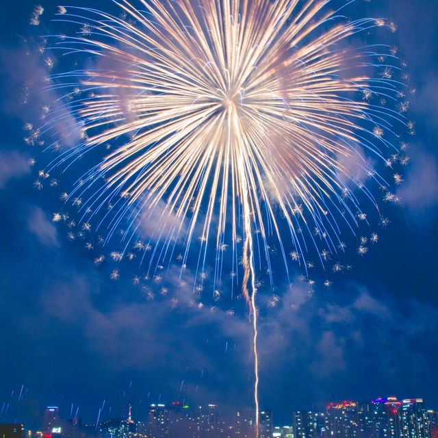 올해도 아름다웠던 서울 세계불꽃축제 🎆🦋