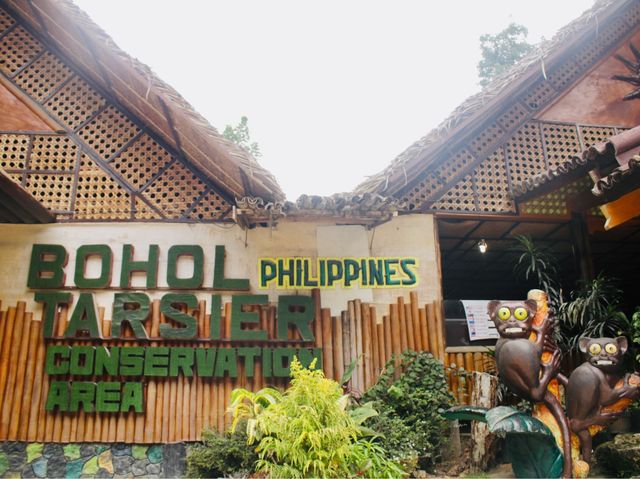 Exploring the Tarsier Sanctuary in Bohol