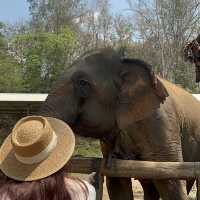 3 days 2 Nights in Chiangmai