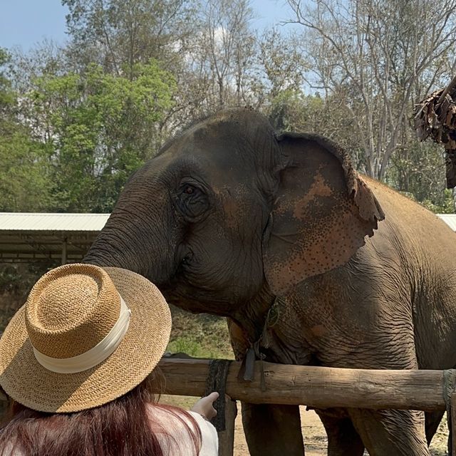 3 days 2 Nights in Chiangmai
