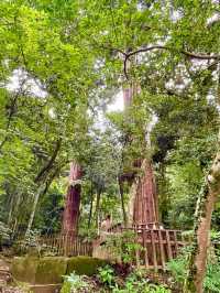【島根県/八重垣神社】2023年行ってよかった！島根県の神社③
