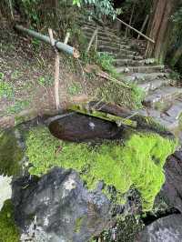 【島根県/神魂神社】2023年行ってよかった！島根県の神社④