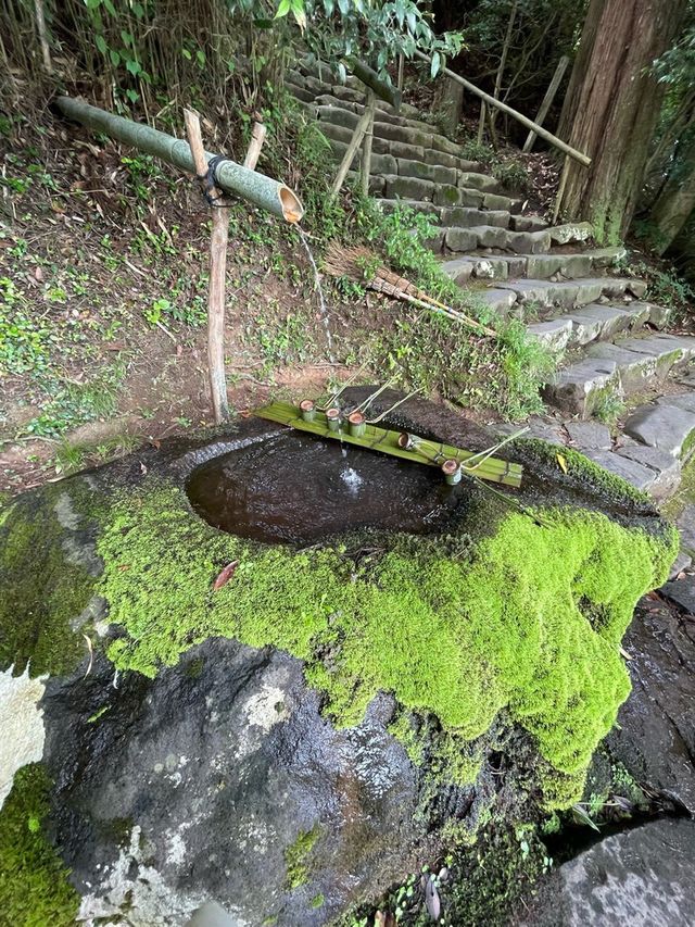 【島根県/神魂神社】2023年行ってよかった！島根県の神社④