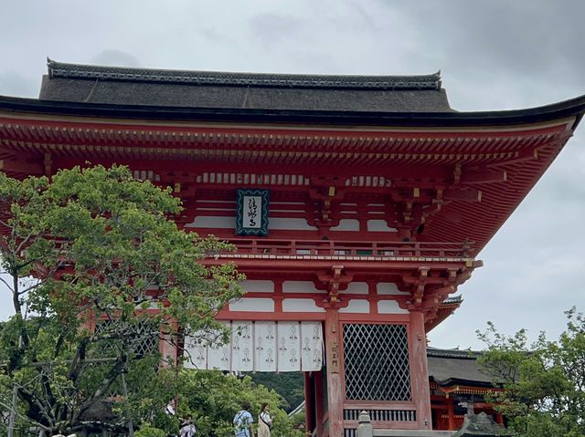 🌳교토가 한 눈에 보이는 신사, 기요미즈테라 ⛩️