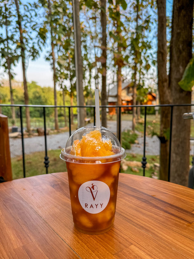 RAYY CAFE (เรย์ คาเฟ่) คาเฟ่ไร่องุ่นสุดชิล 🍇
