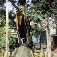 渋谷のど真ん中にある神社 - 金王八幡宮 -