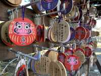 日本高崎市達磨寺 觀音山