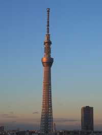 【東京(錦糸町)】都内観光にぴったり！都内へのアクセス抜群、コスパ良きスカイツリーが見えるホテル
