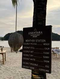 Phuket chill爆日落beach house [Beach House Layan]