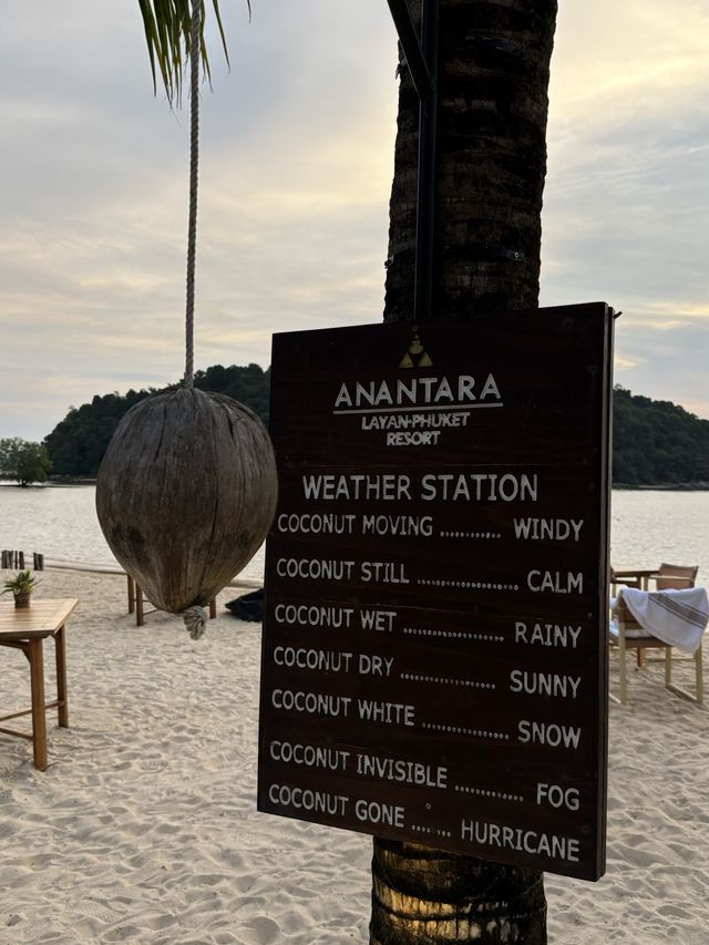 Phuket chill爆日落beach house [Beach House Layan]