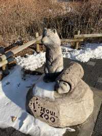 首爾出發首爾大公園一日遊❣️親子活動必到🤓市區親親大自然