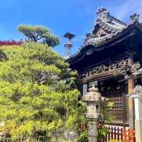 A must-visit temple in Nagano