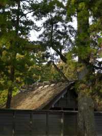 【伊勢神宮：三重縣的靈魂所在與神聖之地🏯🌲】 