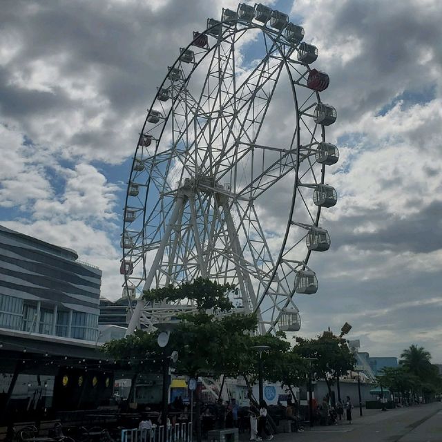 MOA Eye Circle