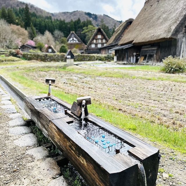 หมู่บ้านมรดกโลก ชิราคาวาโกะ (Shirakawa-go) 