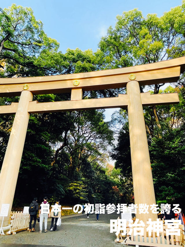 【東京都】一度は参拝してほしい日本一の初詣参拝者数を誇る明治神宮
