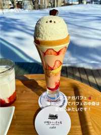【北海道 帯広】可愛すぎて食べれない！？シマエナガパフェ🍓
