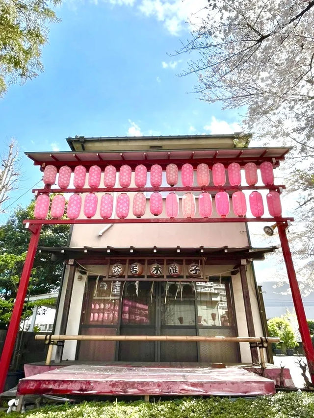 【居木神社/東京都】花散る桜吹雪が美しい神社