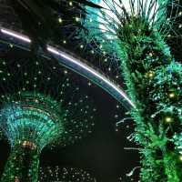 Gardens by the Bay